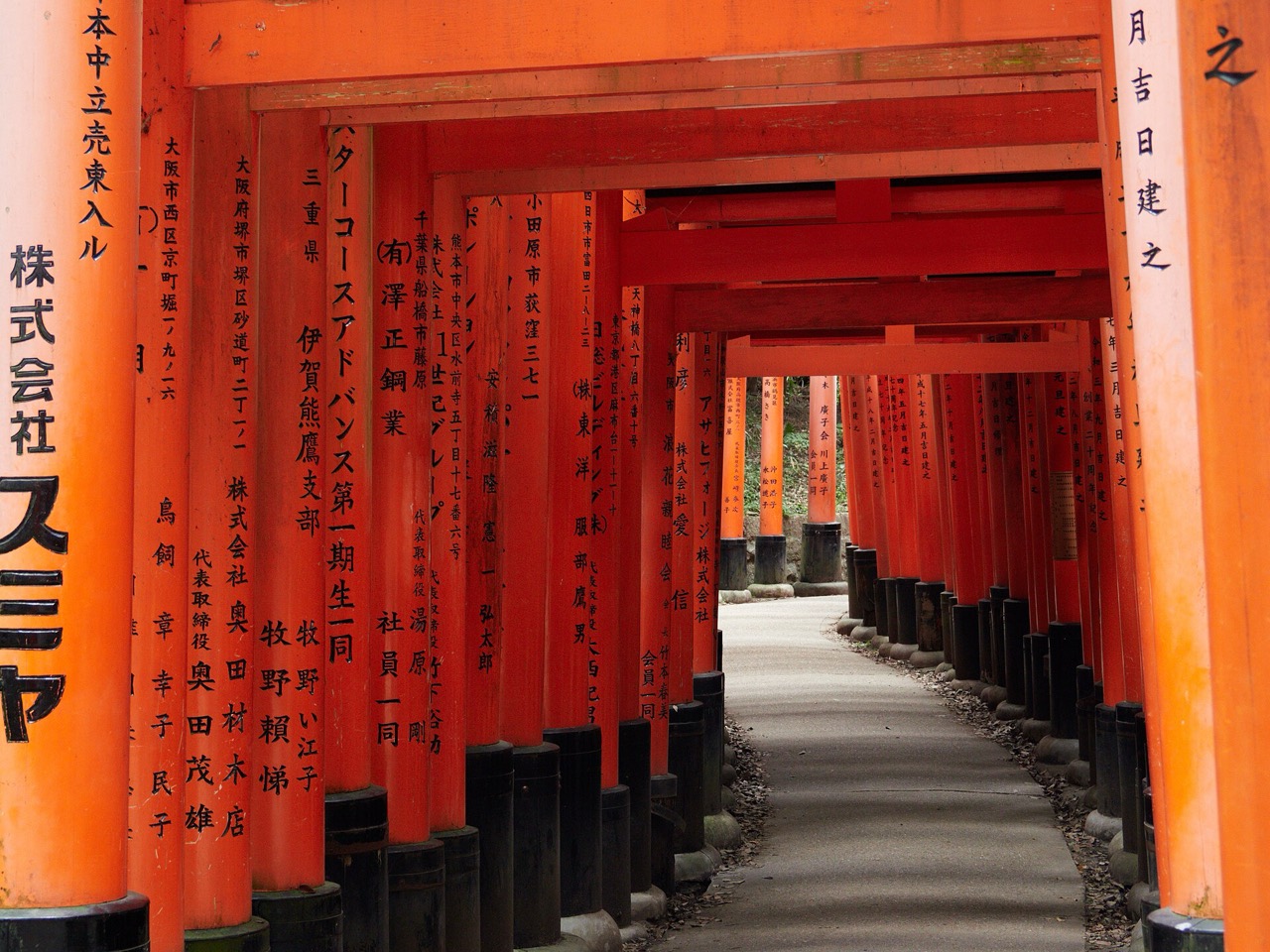 A tunnel of vermilion torii gates at Fushimi Inari Taisha, Kyoto
